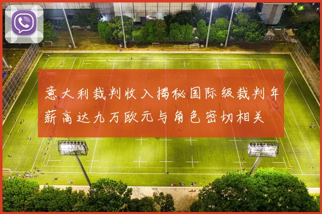 意大利裁判收入揭秘国际级裁判年薪高达九万欧元与角色密切相关