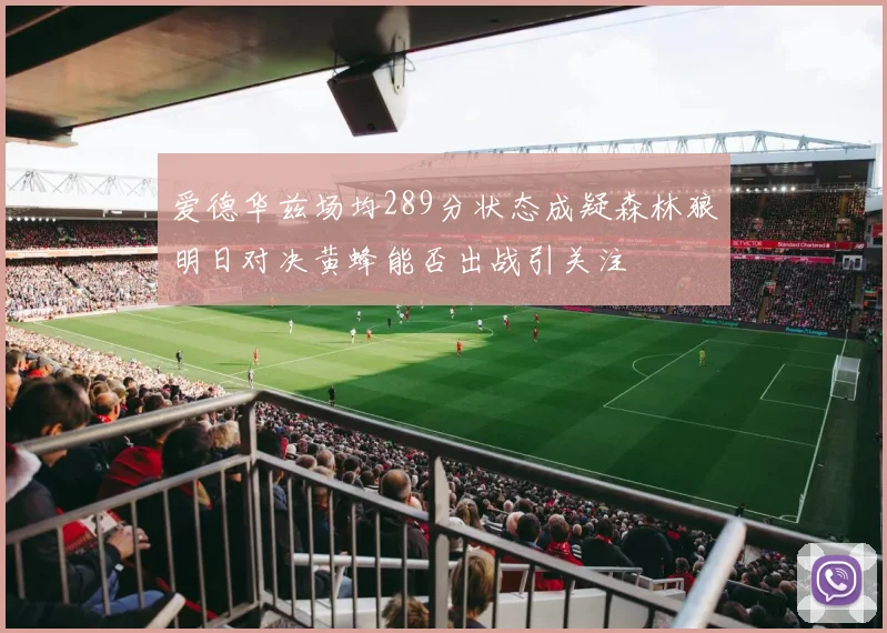 爱德华兹场均289分状态成疑森林狼明日对决黄蜂能否出战引关注